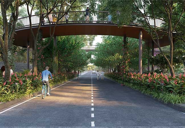Tree-lined Avenue